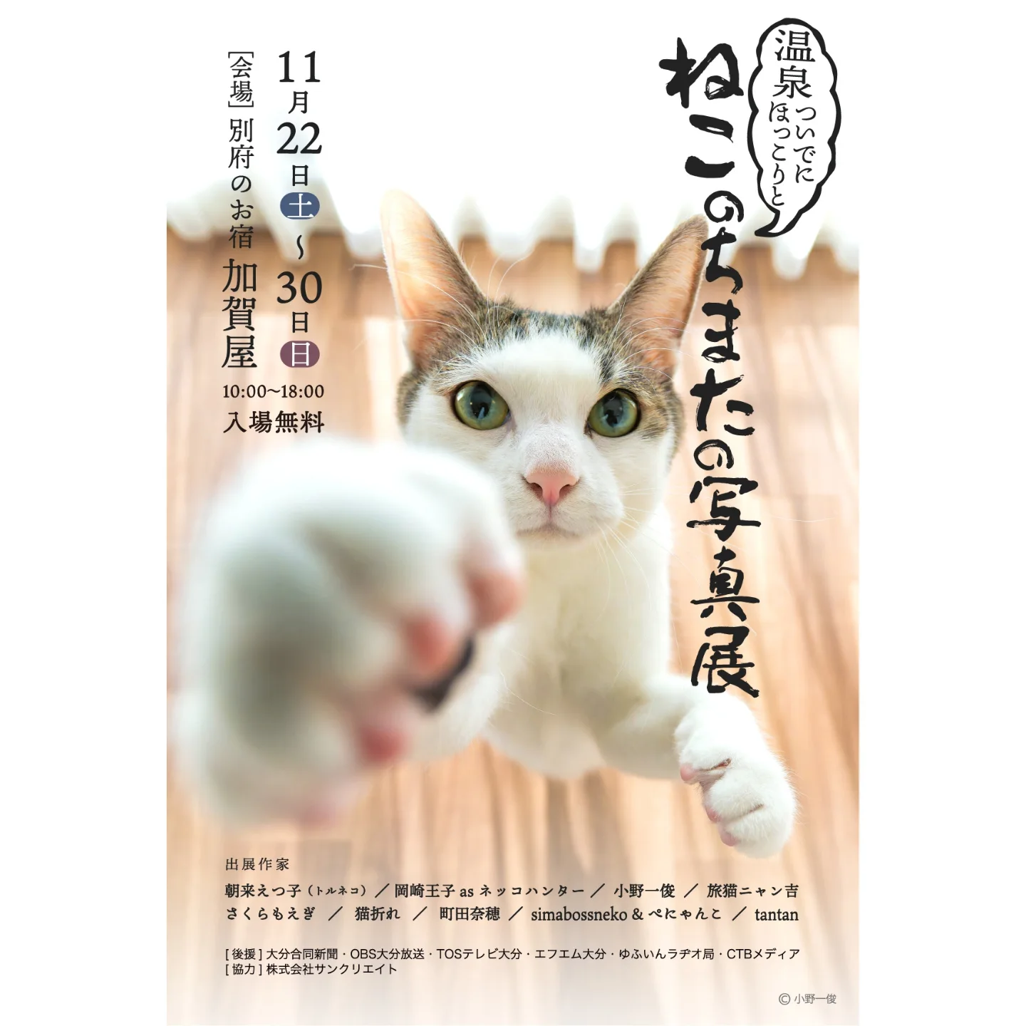 『ねこのちまたの写真展』 〜温泉ついでにほっこりと〜